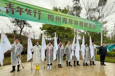 绿美广东 青年先行！今天，他们共植“梅州青年林”