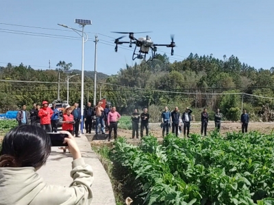 灵“机”敏捷 “飞”驰田间！梅州丰顺县烟叶生产社会化服务引进无人机植保实现全市“首飞”