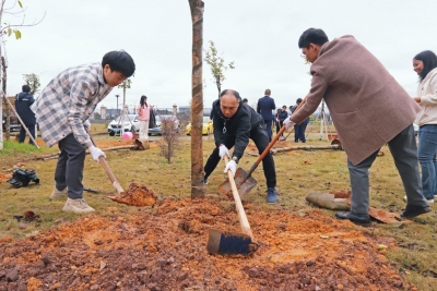 兴华高速：拥抱绿美家园，为春天充“植”