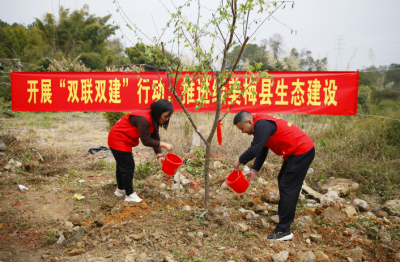 植树正当时！梅县区城东镇党群同心共绘绿美乡村“新画卷”