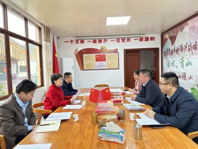 蔡雪嫦到蕉岭新铺镇调研：推动“百千万工程”取得新成效