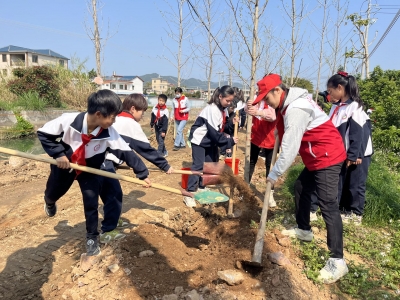 与树一起，向阳而生！蕉岭“红领巾”种下一片绿