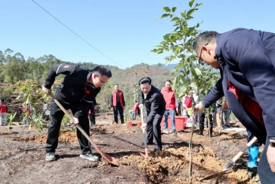 张志锋罗达祥参加2024年丰顺县推进绿美广东生态建设义务植树活动