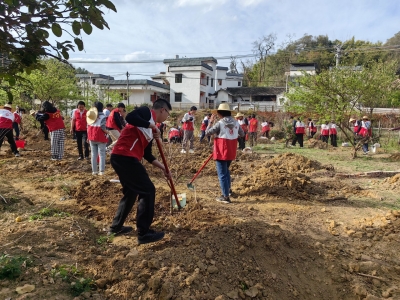 “植”此青绿！兴宁市永和镇掀起乡村绿化热潮