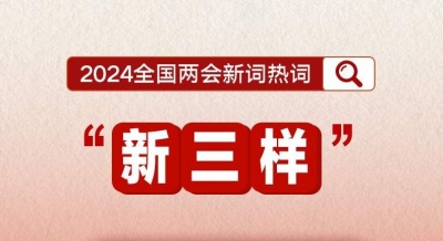 划重点！政府工作报告里提到了这些新词热词