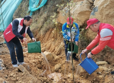 不负春光 增绿添彩！市农业农村局积极开展绿美梅州“千村增绿先锋行”活动