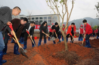 种下“政协林” 植出一片绿！杨朝晖率市政协领导班子参加植树活动