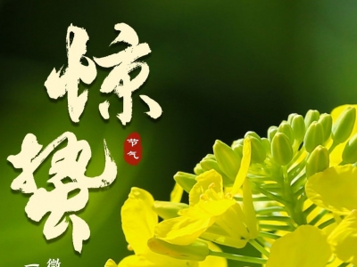 人间好时节丨惊蛰：春雷响，万物长