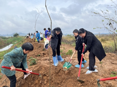 携手添新绿 共植家庭林！兴宁市妇联组织亲子植树活动