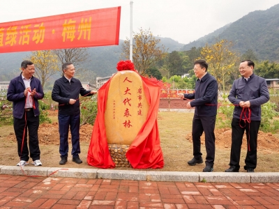 同心植新绿  写好履职篇！我市三级人大联动五级代表行动助推绿美梅州生态建设