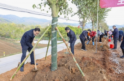蕉岭干群参加义务植树活动：掀起绿美生态建设新热潮