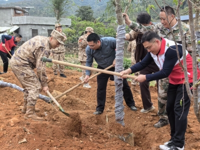 蕉岭：军地携手共植“国防林”