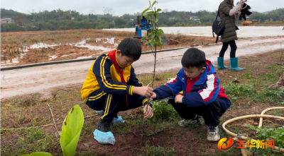 五华：植树护绿 红领巾在行动