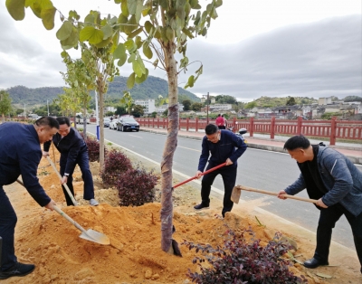 全面推进乡村绿化！大埔百侯镇开展多项植树造林活动