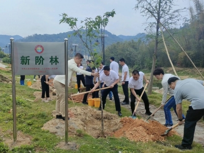 凝“新”聚力，助力“百千万工程”！丰顺县新阶联开展植树活动