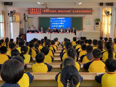 丰顺开展“传承红色基因  赓续红色血脉”党史学习教育进校园活动