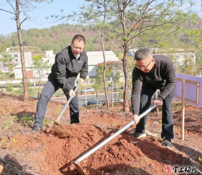 为平远再添新绿！平远县四套班子领导参加义务植树活动