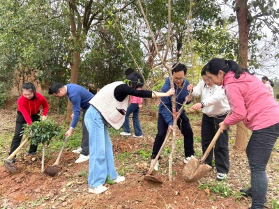 专家人才“组团服务”！梅江区动员各领域人才力量助力建设“绿美梅江”