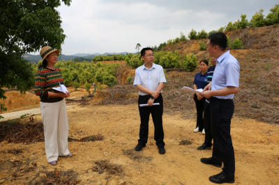 陈金銮率队开展巡林巡河工作：以高品质生态环境支撑梅江高质量发展