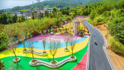 寿乡蕉岭·桂花