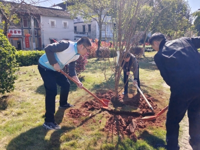 再添新绿！梅江区西郊街道组织开展植树活动