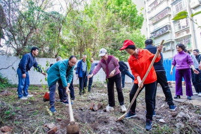 已种苗木万余株！梅江区金山街道持续奏响全民植绿护绿进行曲