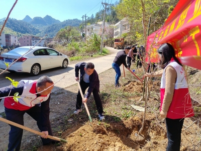 大埔县大东镇开展义务植树活动