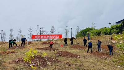 春风送暖意 植树添新绿！大埔县政协开展义务植树活动