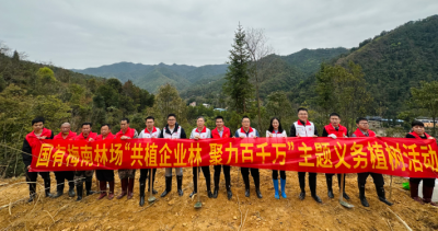 梅南林场携手企业种下主题林
