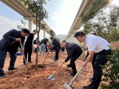 梅州宣传文化系统开展共建“文化林”植树活动