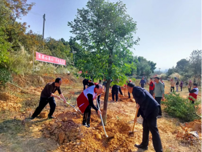 绿“动”寿乡，擦亮生态底色！蕉岭县绘就绿美生态高质量发展新画卷