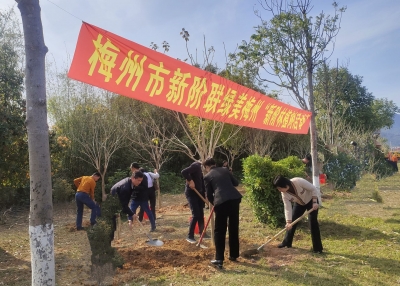 凝“新”聚力，共建“新阶林”！市新阶联组织开展义务植树活动