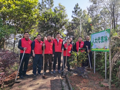 植树好春光 添绿显担当！丰顺县潘田镇开展“人大代表林”植树活动