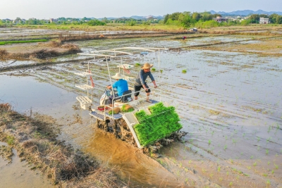 万象“耕”新，不误农时！兴宁全力打好2024年春耕生产“第一仗”