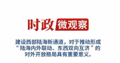 时政微观察丨再次考察西部陆海新通道，总书记提出新要求