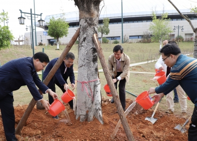 植树添绿，民企助力 ！市工商联积极动员广大民企助力绿美梅州生态建设
