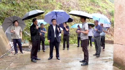 李定华带队督导检查大埔县校园安全有关工作