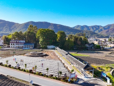 党建聚合力 产业富乡村！蕉岭县广福镇广育村坚持党建引领打好组合拳