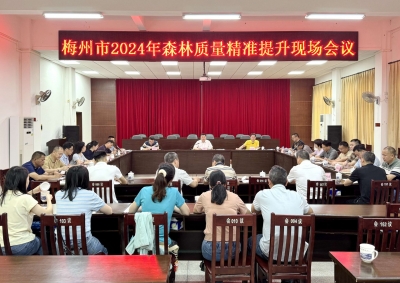 全市2024年森林质量精准提升现场会举行：高质高效完成年度目标任务