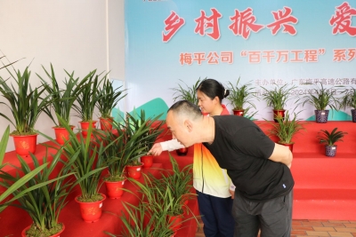乡村振兴 爱心助农！梅平高速“百千万工程”系列活动——兰花展，举办！