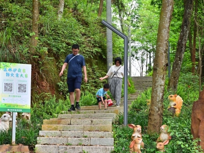 拥抱自然 不负春日好时光！清明假期梅州市民争相踏青出游