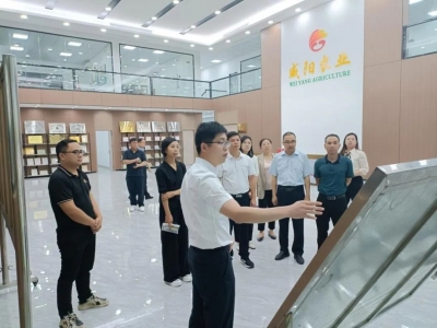 仲恺农业工程学院调研组来丰调研 校地携手推动“双百行动”走深走实