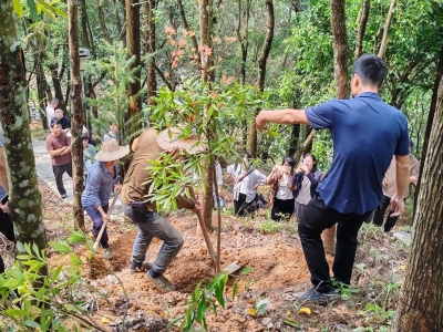 为乡村绿化增技赋能！大埔举办全县绿美人才技能培训