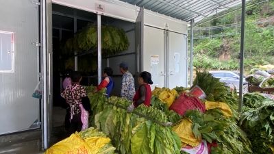 大埔召开新时代乡村电气化电烤房示范项目现场会