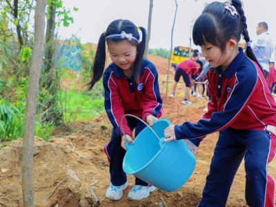 凝“青”聚“绿”！梅县区团委为“绿美梅县”生态建设助力