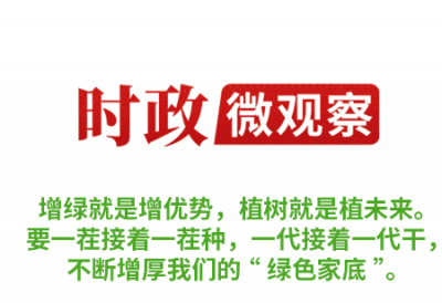 时政微观察丨增厚“绿色家底”，总书记提出新要求