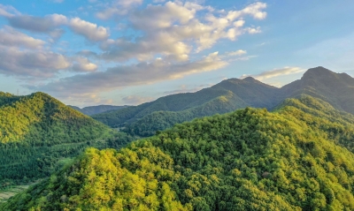 绿美生态成色更足！蕉岭扩绿量、提绿质、增绿效，精准提升森林质量