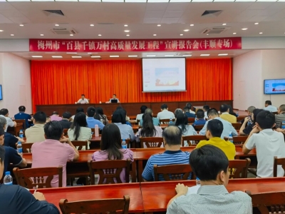 梅州市“百县千镇万村高质量发展工程”宣讲报告会（丰顺专场）举行