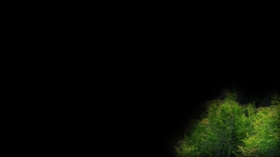 自然资源局世界地球日暖场视频