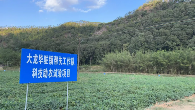 唤醒沉睡的土地！丰顺县大龙华镇推进全域土地综合整治助力“百千万工程”